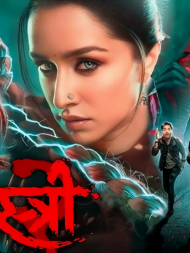 Stree 2 Box Office-vmake