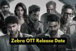 Zebra OTT Release Date