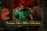 Pushpa 2 Collection First Day