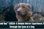 Good Boy