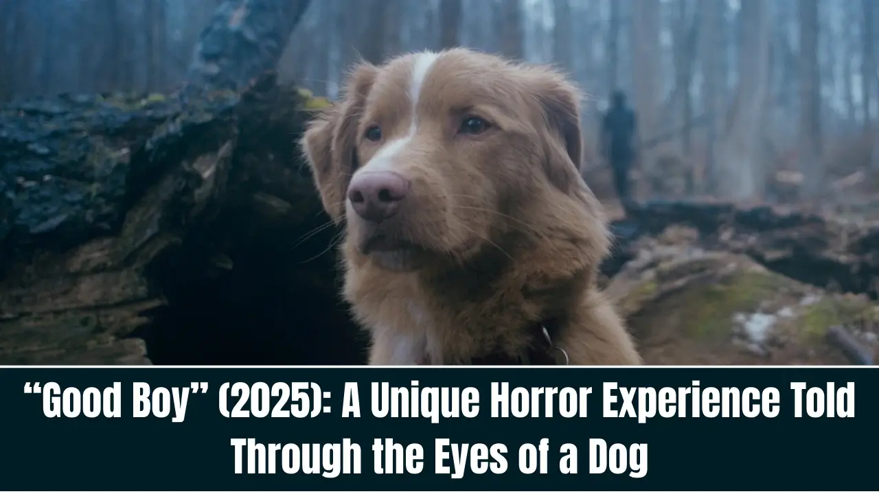 Good Boy